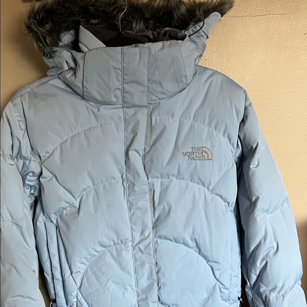 The North Face Baby Blue Goose Down 600 Winter jacket
